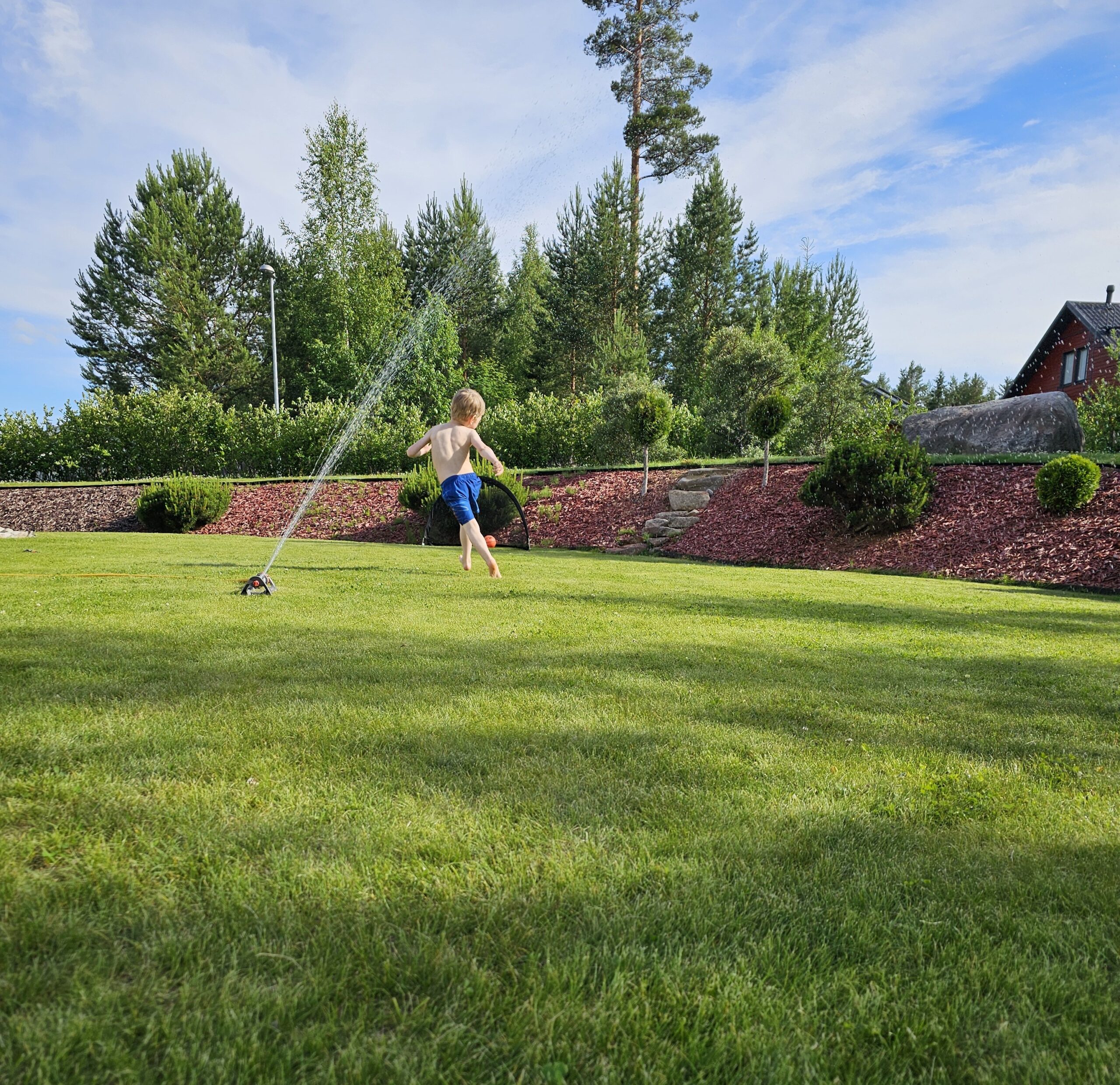 Biokasvuvoima Oy ja Berner Oy yhteistyöhön – yritysten tuoteperheet täydentämään toisiaan viheralueiden ja pihojen rakentamisessa
